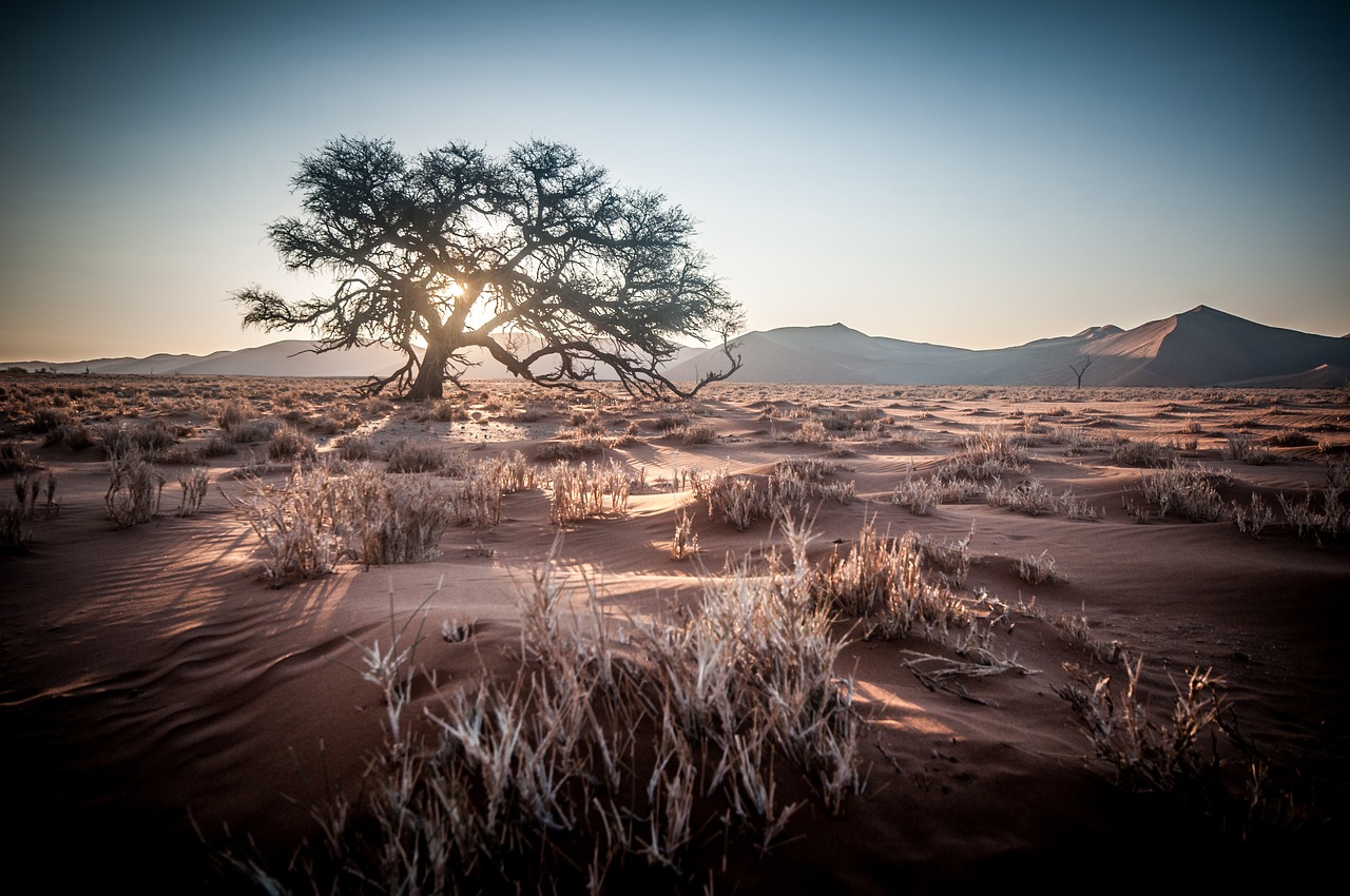 Un séjour à la carte en Namibie, une aubaine pour les safaristes