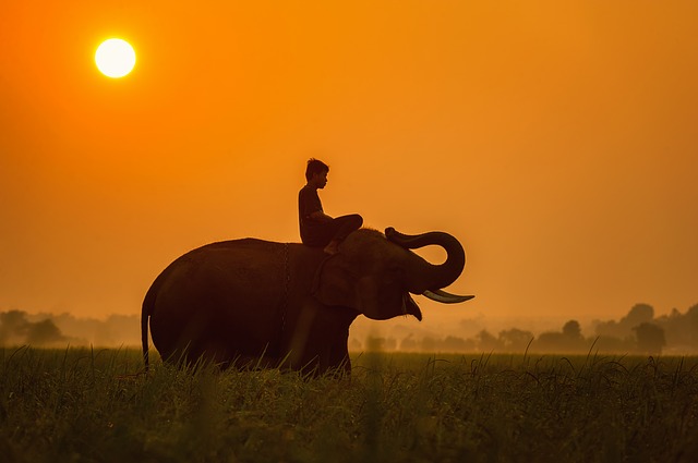 Cambodge