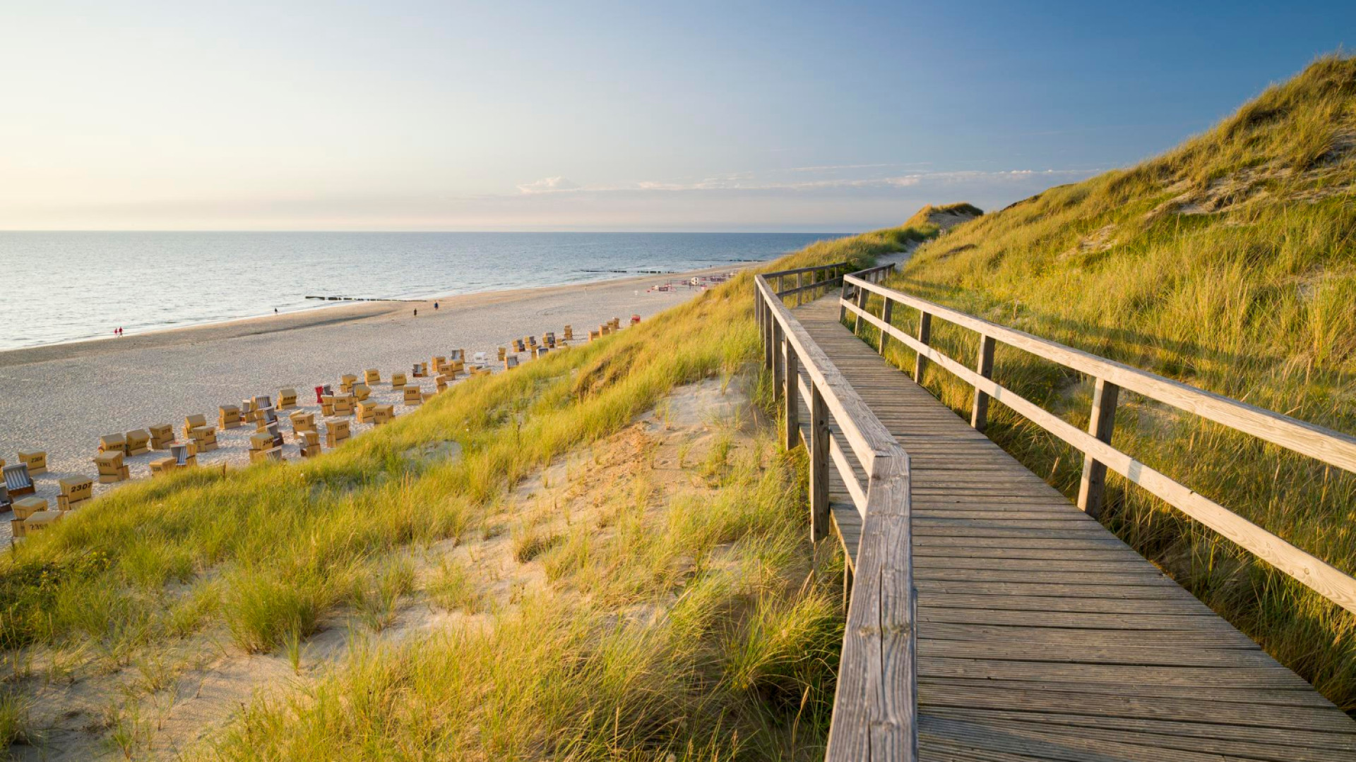 Pourquoi séjourner dans un camping proche des plages landaises ?